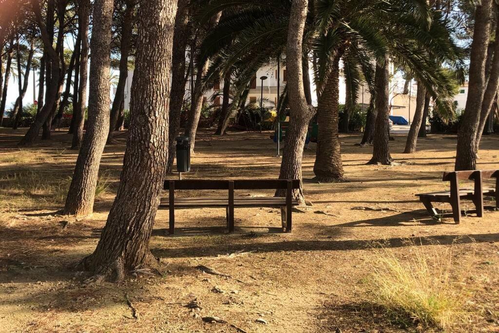 Piso Las Mimosas 90 Metros De Playa Port Pollensa Port de Pollença Exteriör bild